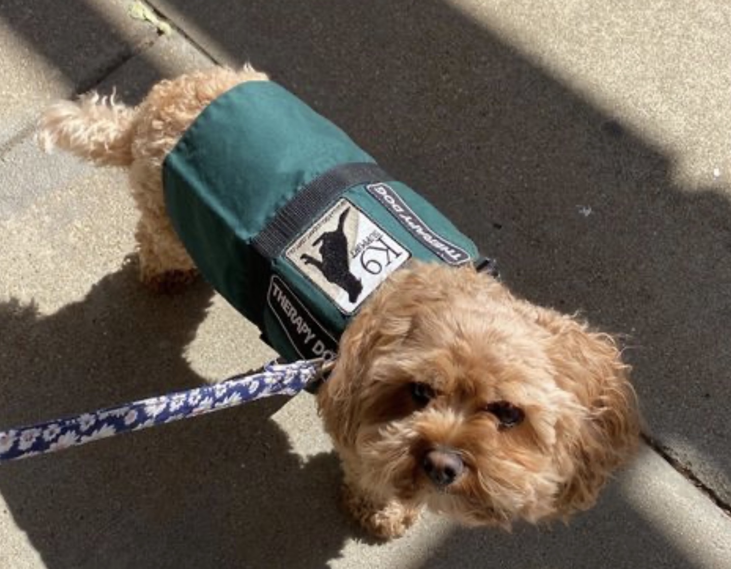 Home St Francis Xavier